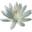 alam-kita.com FavIcon