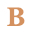 baysight.nl FavIcon