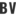 bikevision.nl FavIcon
