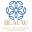 blauwvoorverbinding.nl FavIcon