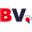 brandvista.nl FavIcon