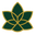 bureautetra.nl FavIcon