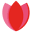 bwhoyour.nl FavIcon