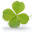 campinghetklaverblad.nl FavIcon