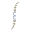 chiropractieceintuurbaan.nl FavIcon