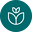 debloemist.nl FavIcon