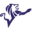 degoudenleeuwbergeijk.nl FavIcon