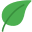 degraafhoveniers.nl FavIcon