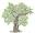 deolijfolieshop.nl FavIcon