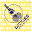 dickiesbrewing.com FavIcon