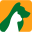 dierenartsverboom.nl FavIcon