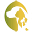 dierenbegraafplaats-jagtveld.nl FavIcon