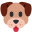 dierspullen.nl FavIcon