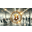 digitaalweb.nl FavIcon