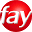 faytech.nl FavIcon