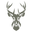 feestzaaljachthoorn.be FavIcon