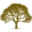 financieleraadgevers.com FavIcon