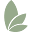 floraworks.nl FavIcon
