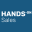 handsonsales.nl FavIcon