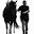 horsemanshiptraining.nl FavIcon