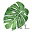 introgreen.de FavIcon