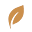 jouwcoachlijn.com FavIcon