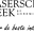 laserschuurreek.nl FavIcon