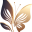 nasiam.be FavIcon