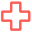 nelson-plus.org FavIcon