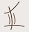 ninaeconcepts.com FavIcon