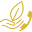 nuracoaching.nl FavIcon