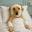 petmedi.be FavIcon
