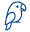 pipapaya.nl FavIcon