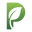 plantbasedbody.nl FavIcon