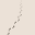 praktijkopstap.com FavIcon