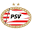 psvfanstore.nl FavIcon
