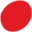 puntnlgroep.nl FavIcon