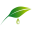 rainbowkleinpak.nl FavIcon