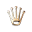 rolex.com FavIcon