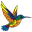 roruvera.com FavIcon