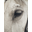 ruiterweb.nl FavIcon
