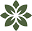 savonamsterdam.nl FavIcon