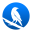 stealseek.io FavIcon