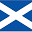 stevedewarmusic.com FavIcon