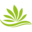 steviala.eu FavIcon