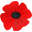 vakantiehuisdeklaproos.nl FavIcon
