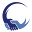 vanguardcleaningservice.nl FavIcon
