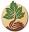 veldbos.com FavIcon