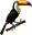 vogelspeciaalzaakdetoekan.nl FavIcon