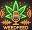 weedfeed.nl FavIcon